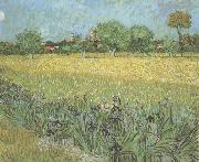 Vincent Van Gogh View of Arles with Irises in the Foreground (nn04) oil on canvas